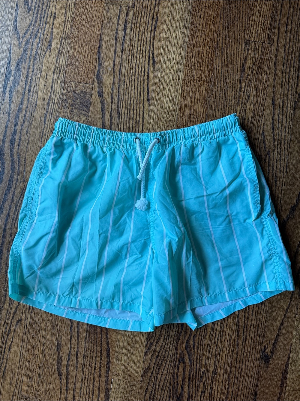 E Zara Men’s Large Mint Striped Drawstring Swim Trunks